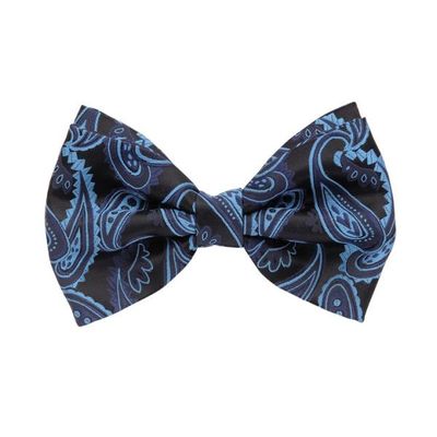 Tiekart men blue paisley  double bow tie