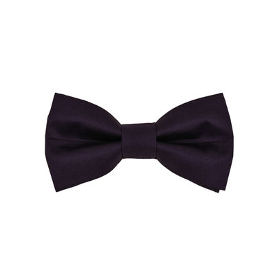 Tiekart men purple bow tie