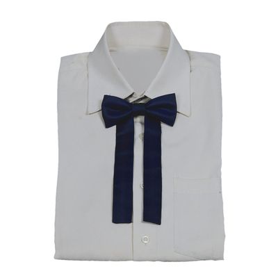 Blue Plain Solid Partywear Long Bow Tie for Men