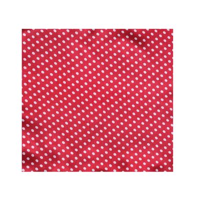 Tiekart cool combos red polka dot  bow tie+pocket square