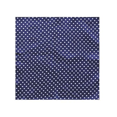 Tiekart cool combos blue polka dot bow tie+pocket square