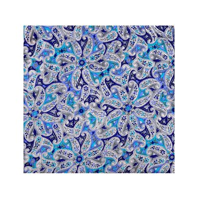 Tiekart cool combos blue paisley silk bow tie+pocket square