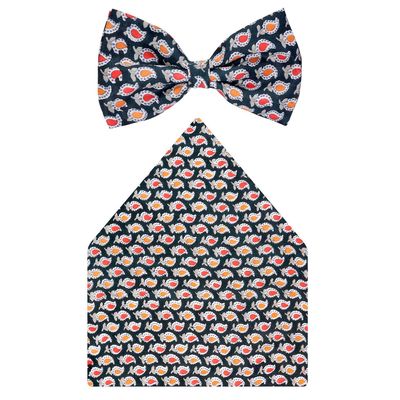 Tiekart cool combos multi paisley silk bow tie+pocket square