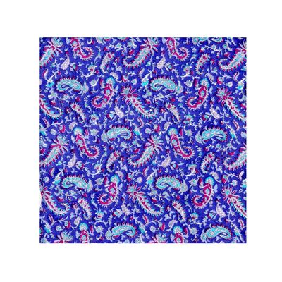 Tiekart cool combos blue paisley silk bow tie+pocket square