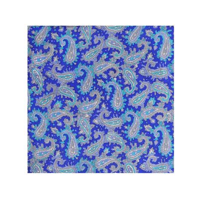 Tiekart cool combos blue paisley silk bow tie+pocket square