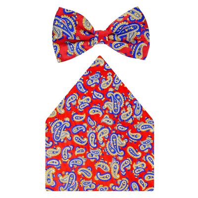 Tiekart cool combos multi paisley silk bow tie+pocket square