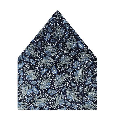 Blue Silk Paisley Cravat with Pocket Sqaure Combo-Set of 2