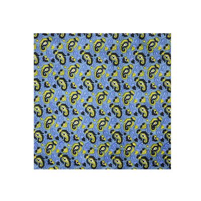 Tiekart cool combos blue paisely silk cravat+pocket square