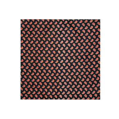 Tiekart cool combos black paisely silk cravat+pocket square