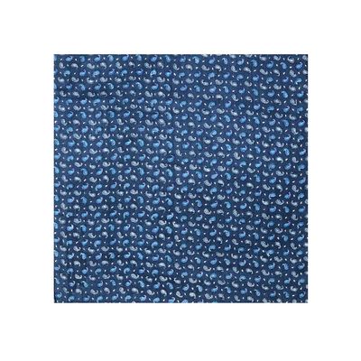 Tiekart cool combos blue paisely silk cravat+pocket square