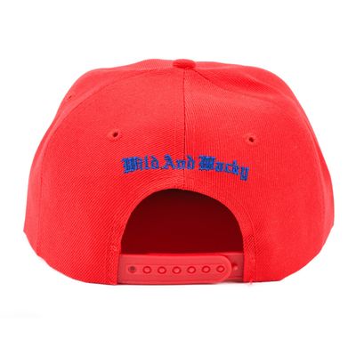 Tiekart men red & blue snapback caps