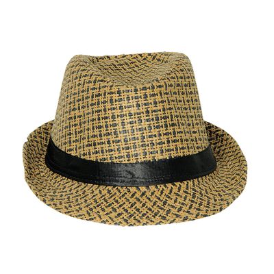 Brown Fedora Hat For Men | Cg546