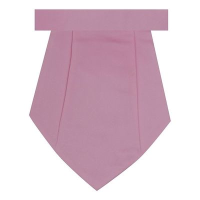 Tiekart men violet plain solids cravat