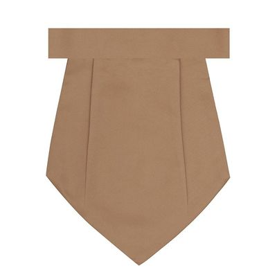 Tiekart men brown plain solids cravat