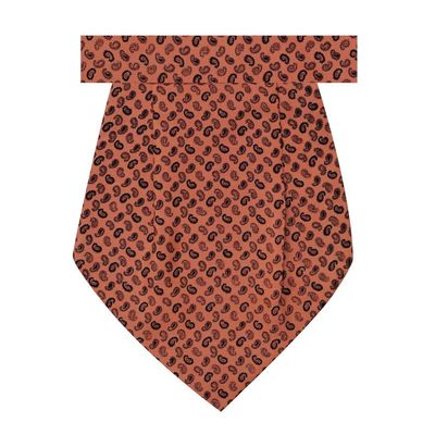 Tiekart men brown paisley silk cravat