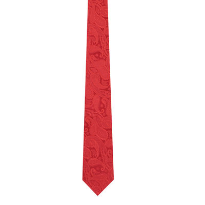 Men Tie - Red floral/paisley Micro Fiber Necktie for Men