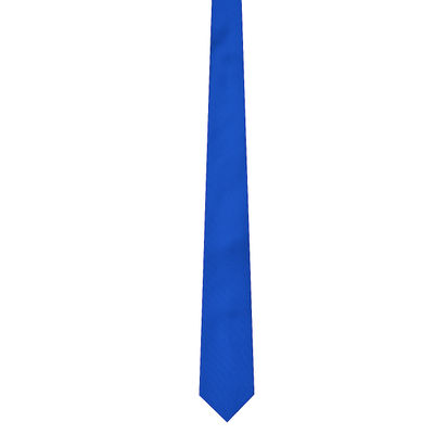 Blue Plain Skinny Ties for Men