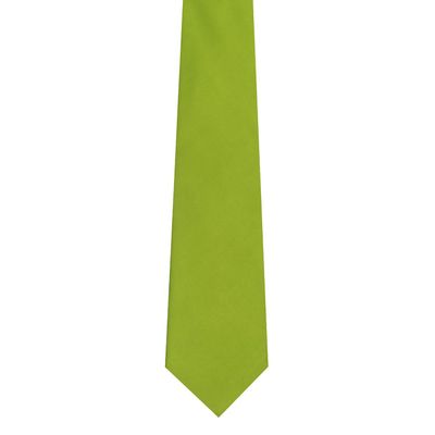 Tiekart men green plain solids  tie