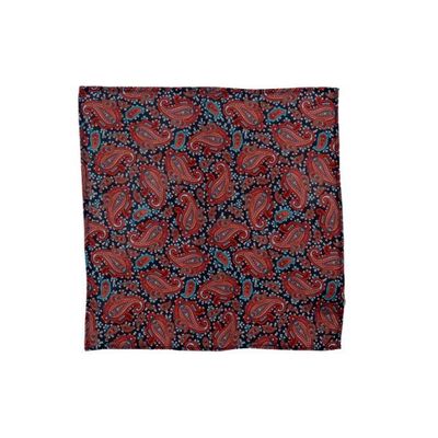 Tiekart men multi paisley silk pocket square