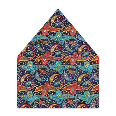 Tiekart men multi paisley printed silk pocket square