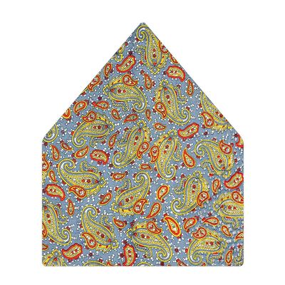 Tiekart men multi paisley printed silk pocket square