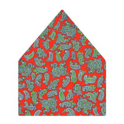 Tiekart men red paisley printed silk pocket square