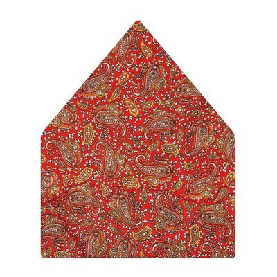 Tiekart men brown paisley printed silk pocket square