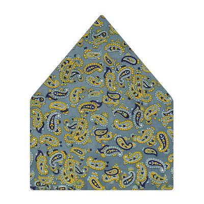 Tiekart men blue paisley printed silk pocket square