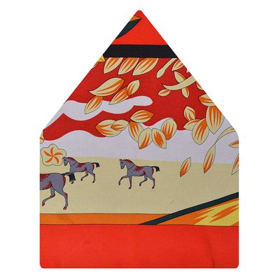 Multi Funky Silk Pocket Square for Men