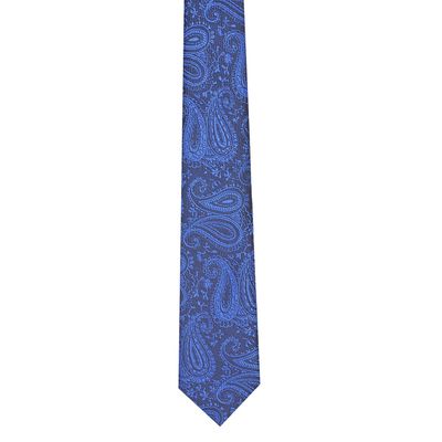 Tiekart men blue paisley  skinny slim tie