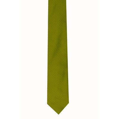 Tiekart men green plain solids  tie