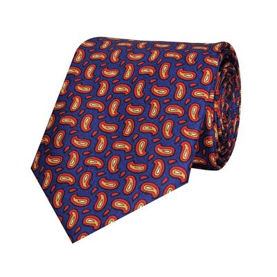 Tiekart men blue paisley printed silk tie