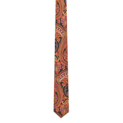 Silk Tie - Multi Floral/Paisley silk ties for men