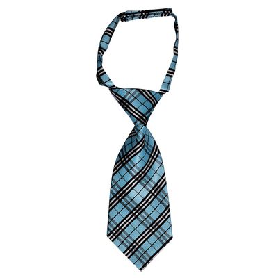 Tiekart women blue checked tie