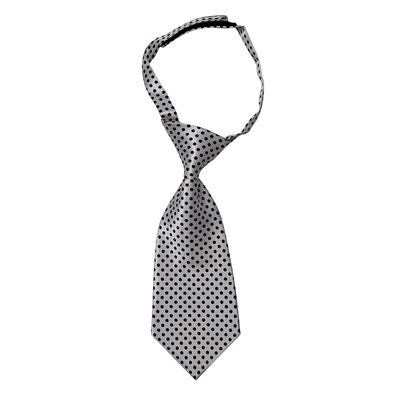 Tiekart women black & white polka dot tie