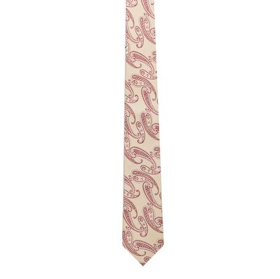 Woven silk Tie-humming energy (Beige Formal woven silk Floral Paisley Necktie for Men)