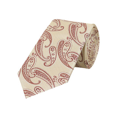 Woven silk Tie-humming energy (Beige Formal woven silk Floral Paisley Necktie for Men)