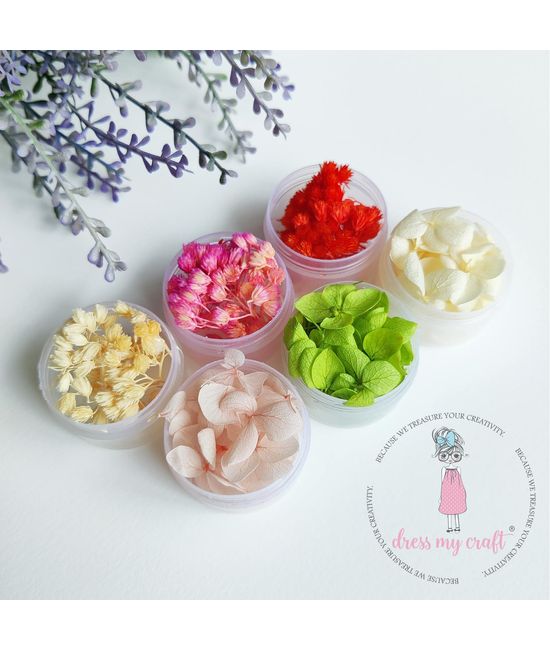 Dry Flowers Kit