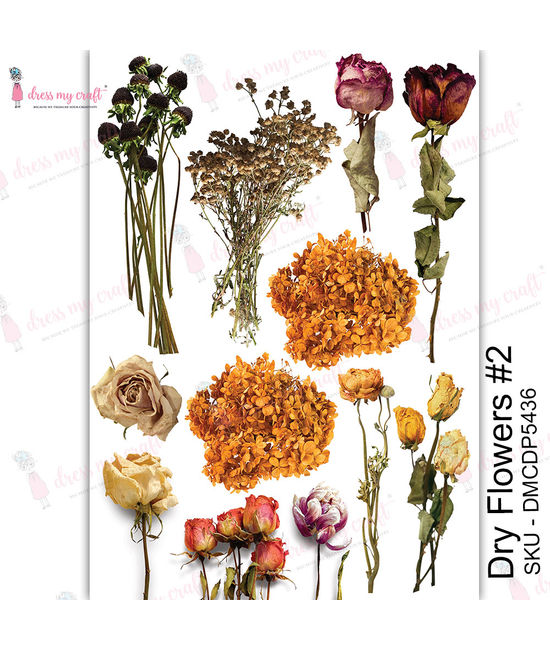 Dry Flowers #2 - Transfer Me
