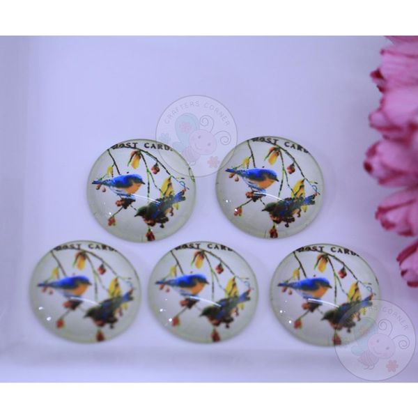 Small Round Glass Cabochon - Blue Bird