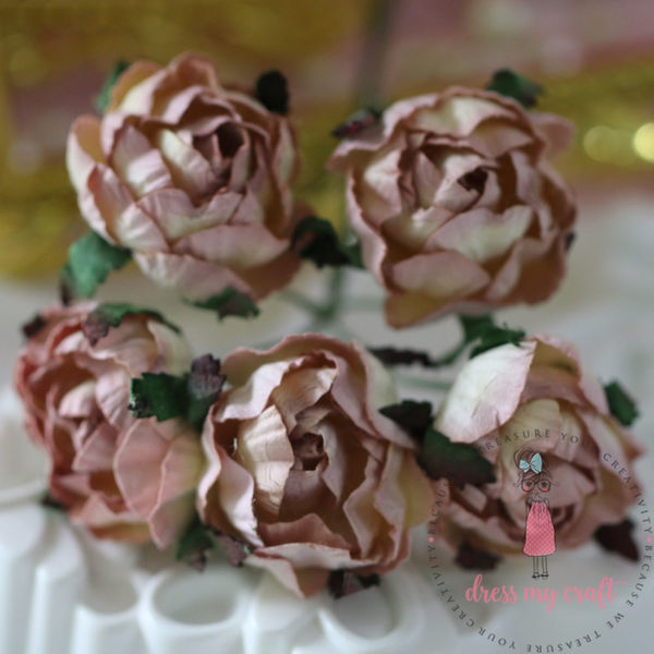 Cabbage Rose - Shabby Pink