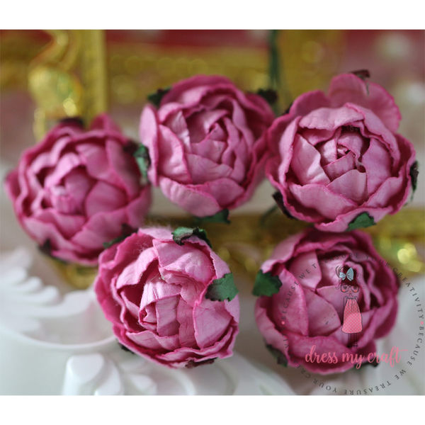 Cabbage Rose - Pink