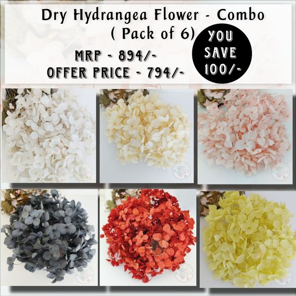 Dry Hydrangea Flower - Combo (Pack of 6)