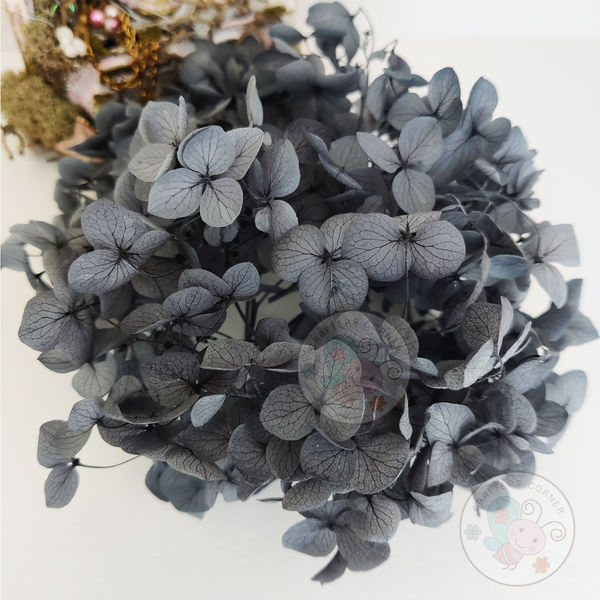 Dry Hydrangea Flower - Grey