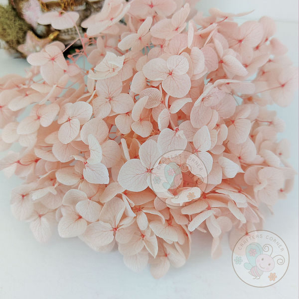 Dry Hydrangea Flower - Pink