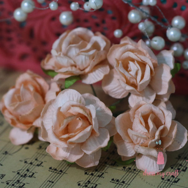 Curly Roses - Light Orange