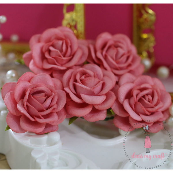Curved Roses 45 MM - Pretty Peach
