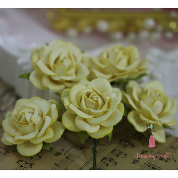 Curved Roses 45 MM - Pastel Yellow