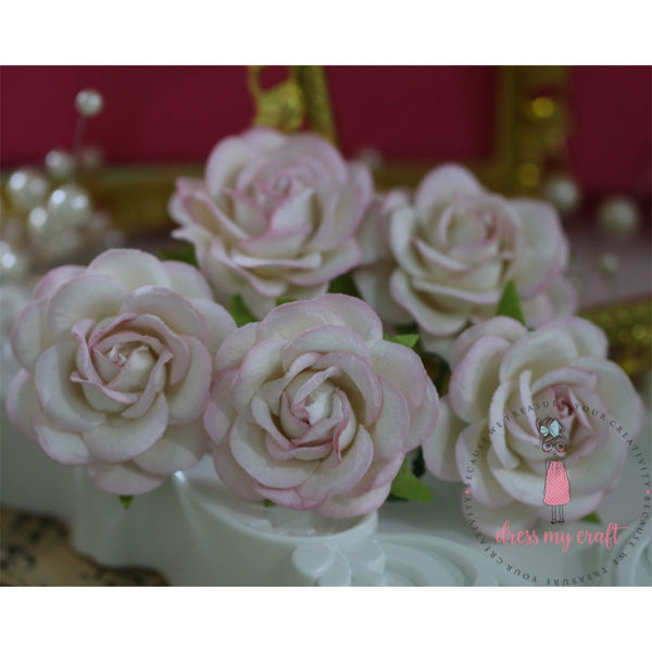 Curved Roses 45 MM - Shaded Pink