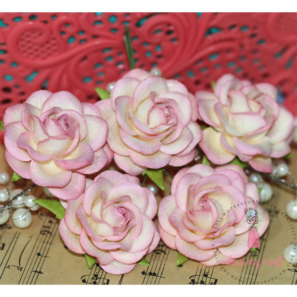 Curved Roses 45MM - Pretty Pink